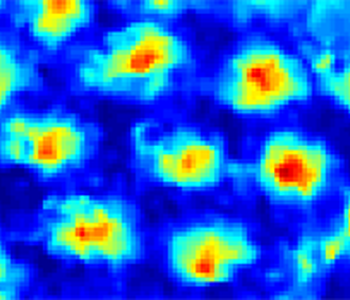 hinman lab - heat map