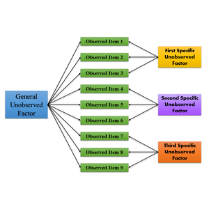 Bifactor Model