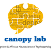 a yellow image of a brain made of puzzle pieces with the words Canopy Lab below